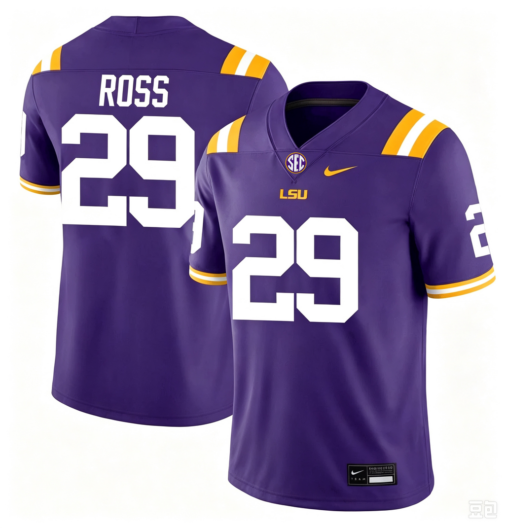 Men's #29 Jordan Ross LSU Tigers College Football Jersey