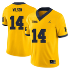 Men's #14 Roman Wilson Michigan Wolverines College Football Jersey