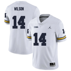 Men's #14 Roman Wilson Michigan Wolverines College Football Jersey